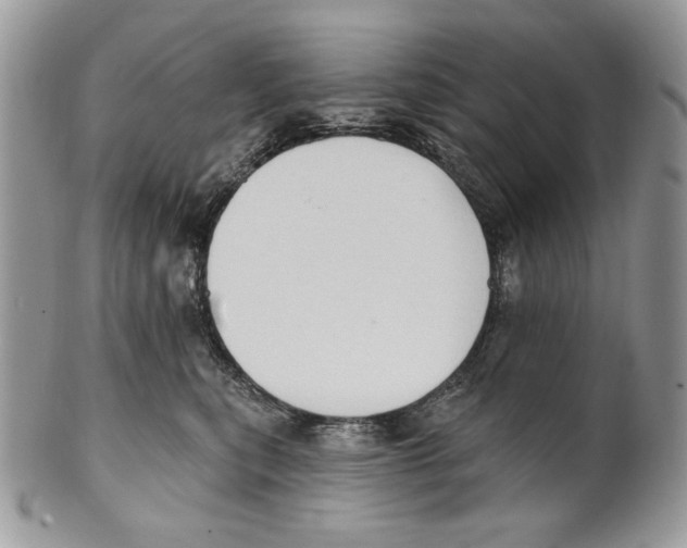 X0000101150567200807251051