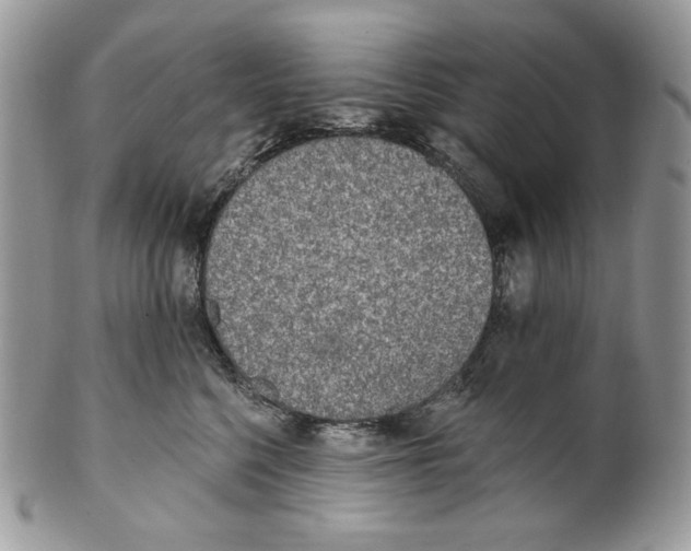 X0000101150568200807251051