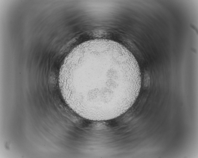 X0000101150569200807251051