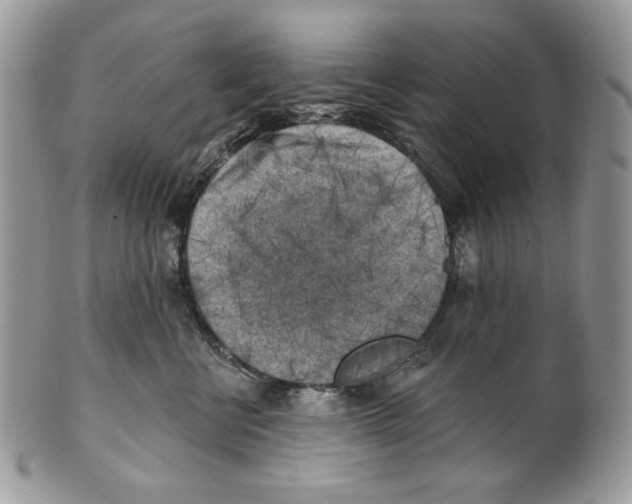 X0000101150570200807251051