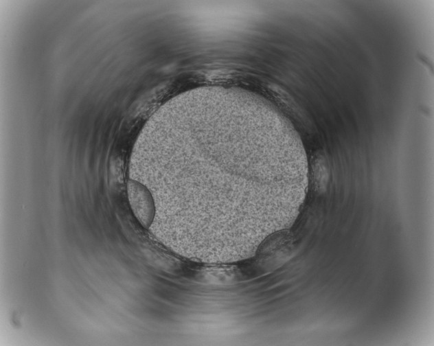 X0000101150571200807251051