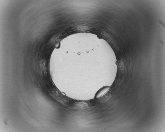 X0000101150572200807251051