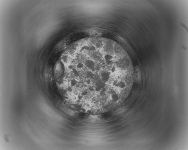 X0000101150573200807251051