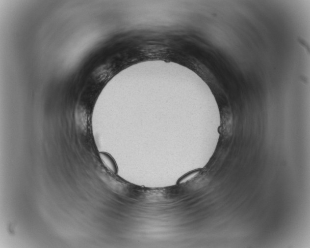 X0000101150574200807251051