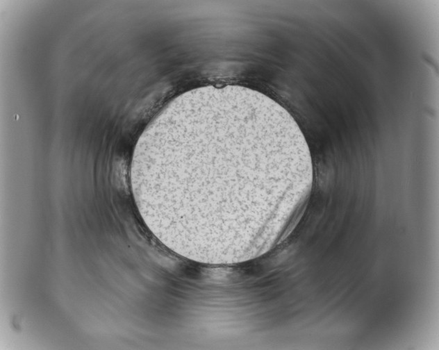 X0000101150575200807251051