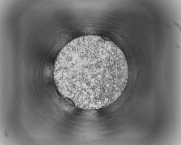 X0000101150576200807251051