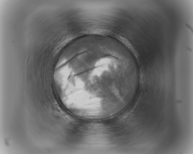 X0000101150577200807251050