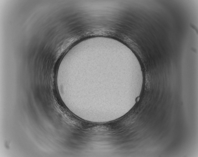 X0000101150578200807251050