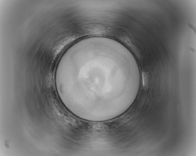 X0000101150579200807251050