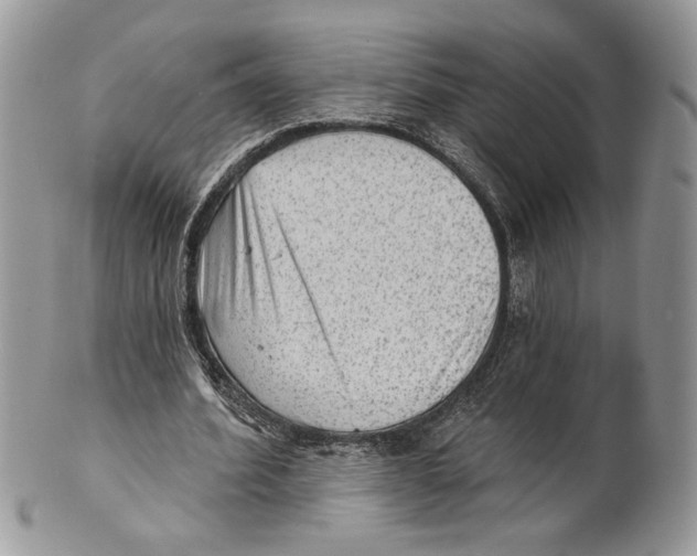 X0000101150580200807251050