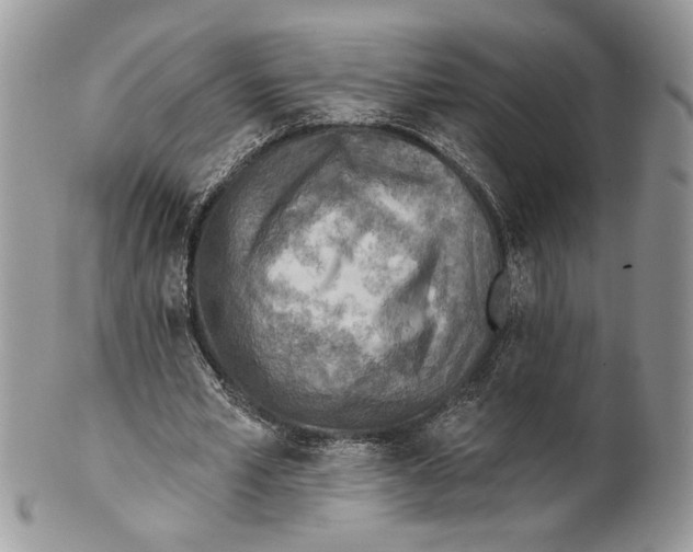 X0000101150581200807251050