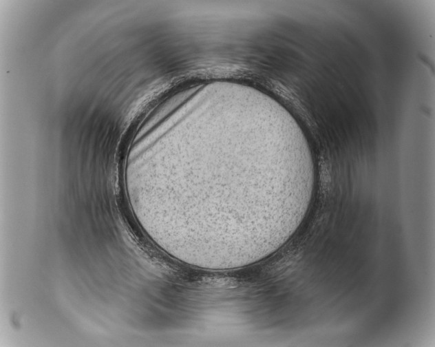 X0000101150582200807251050