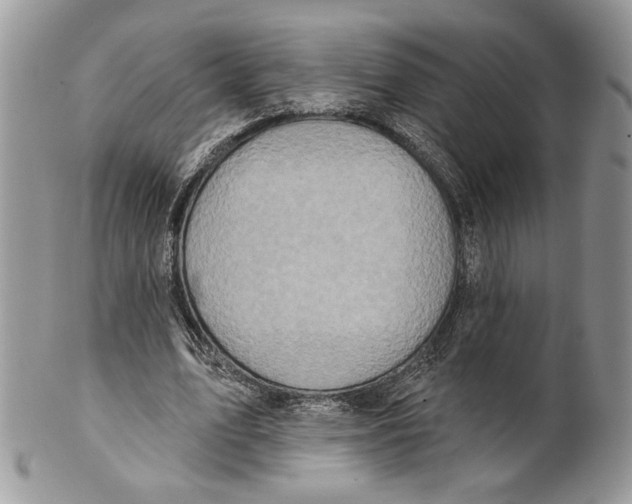 X0000101150583200807251050