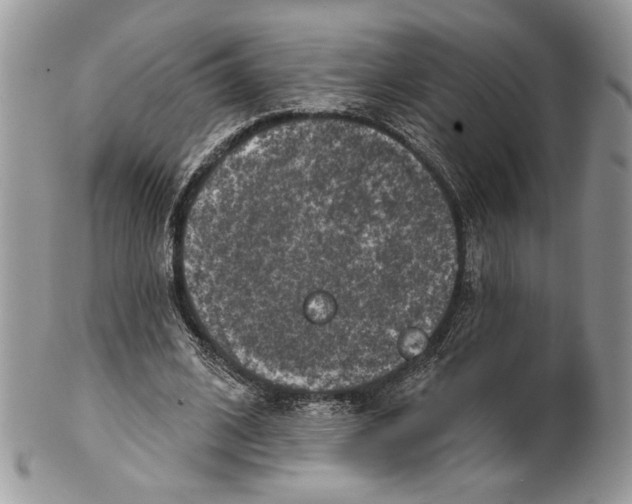 X0000101150584200807251050