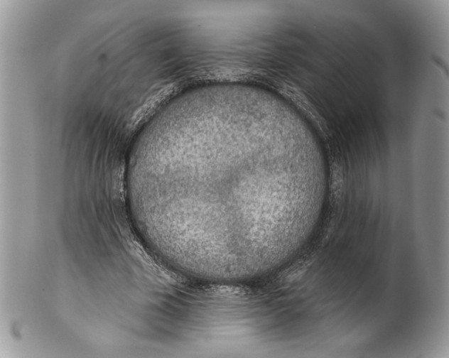 X0000101150585200807251050