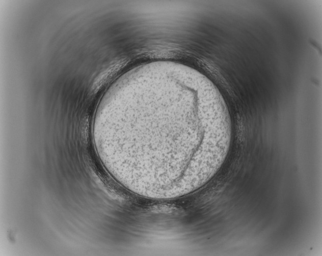 X0000101150586200807251050