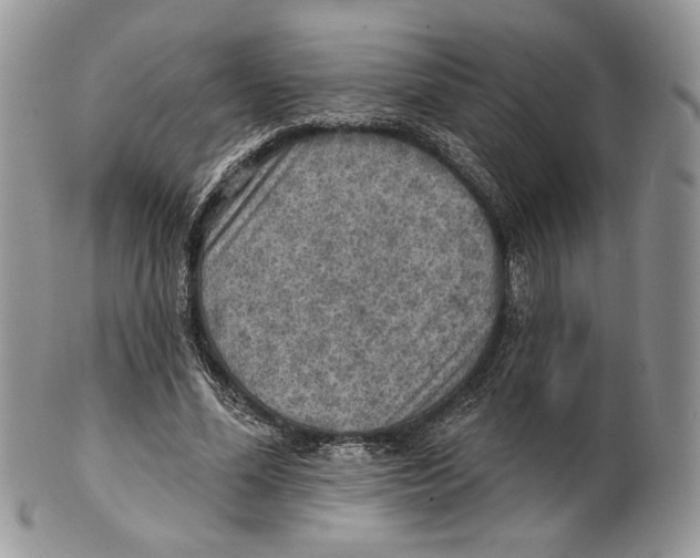 X0000101150588200807251050