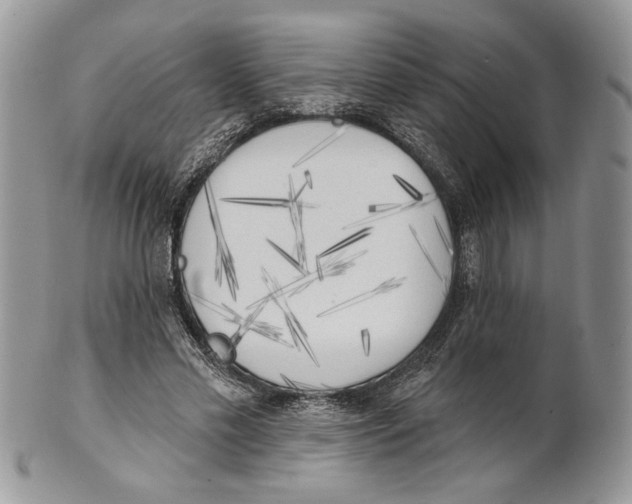 X0000101150589200807251050