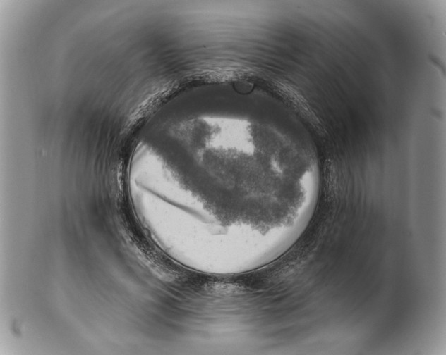 X0000101150590200807251050