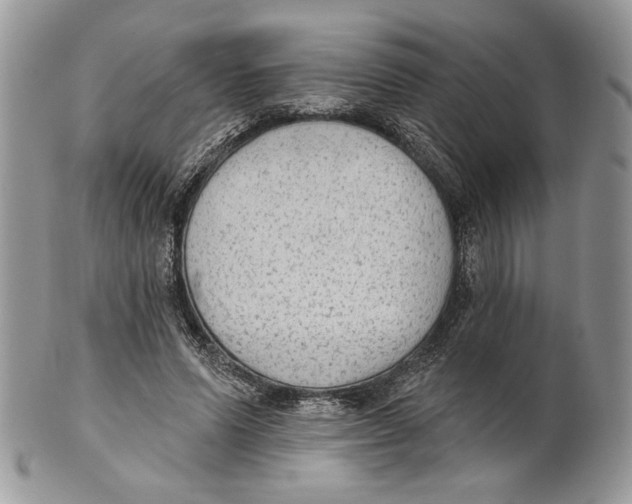 X0000101150591200807251050