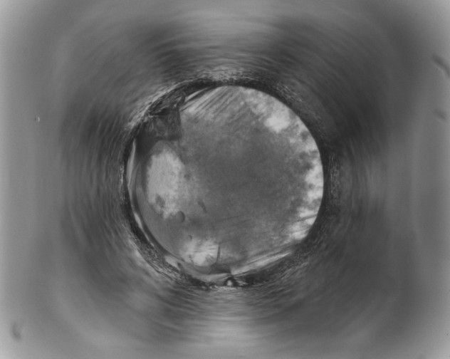 X0000101150592200807251050