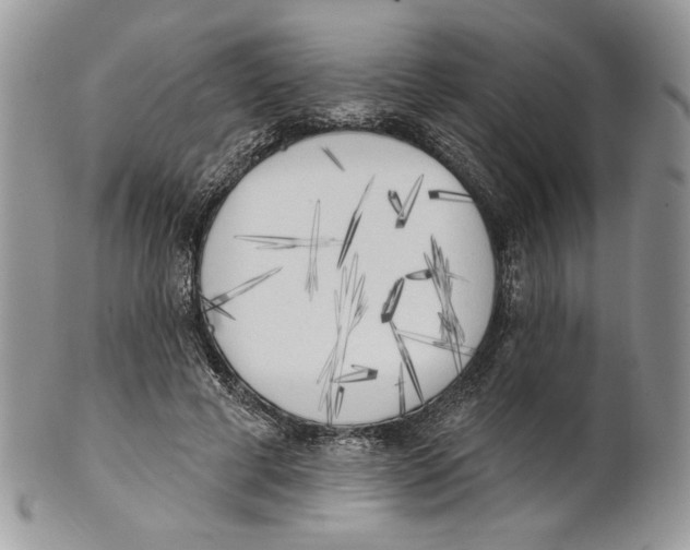 X0000101150593200807251050