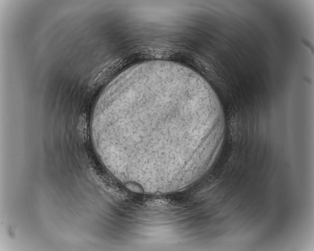 X0000101150594200807251050