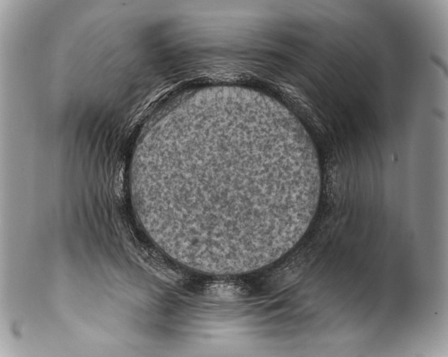 X0000101150596200807251050