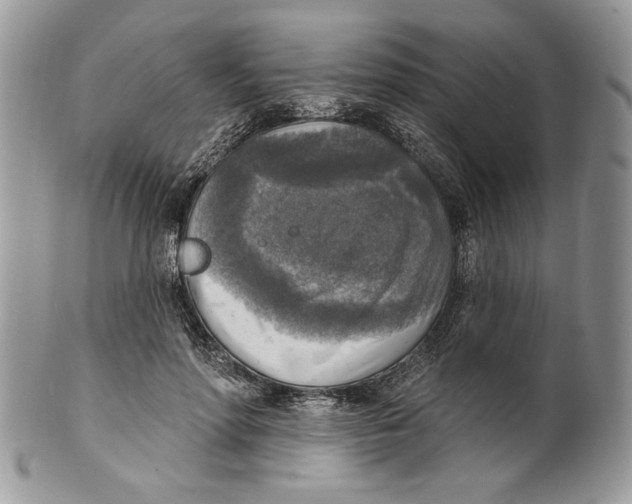 X0000101150598200807251050