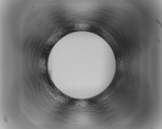 X0000101150599200807251050