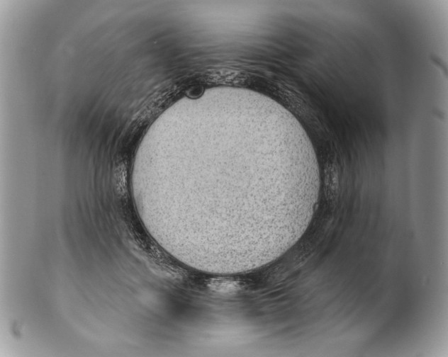 X0000101150602200807251050