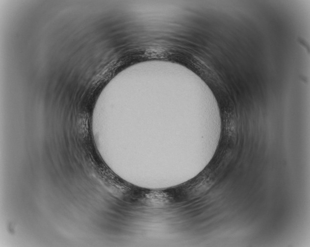 X0000101150603200807251050