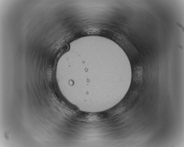 X0000101150604200807251050
