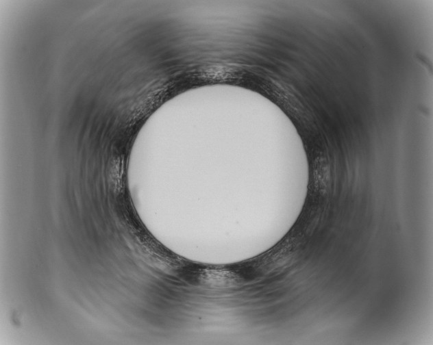 X0000101150605200807251050