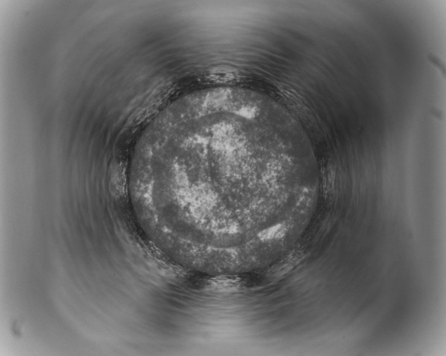 X0000101150606200807251050