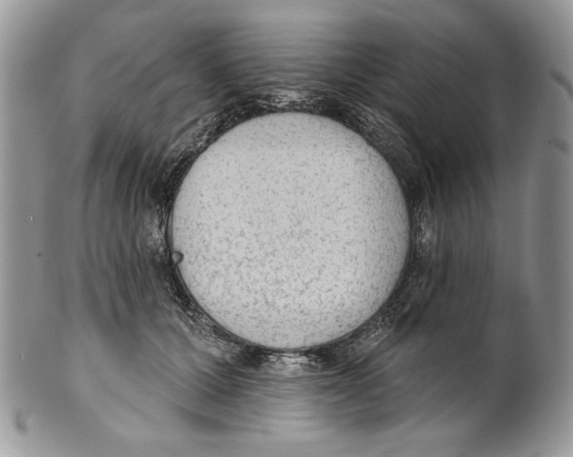 X0000101150607200807251050