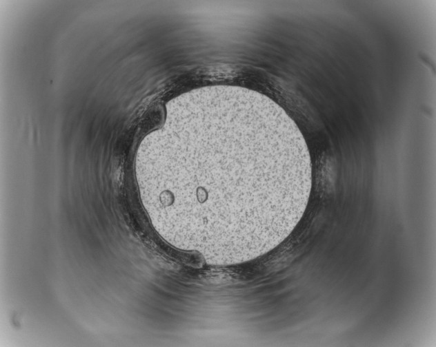 X0000101150608200807251050