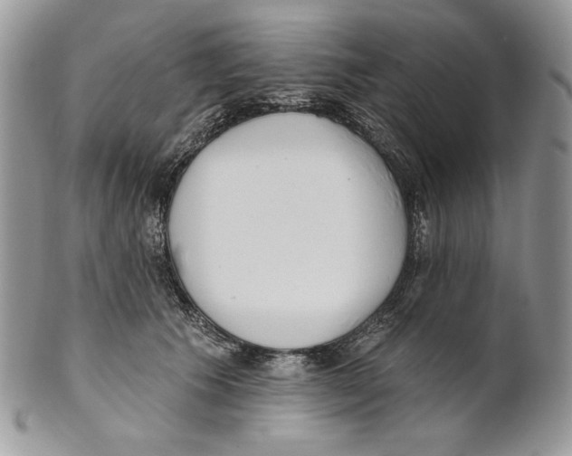 X0000101150609200807251050