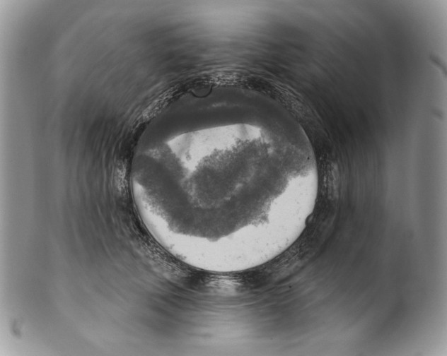 X0000101150610200807251050
