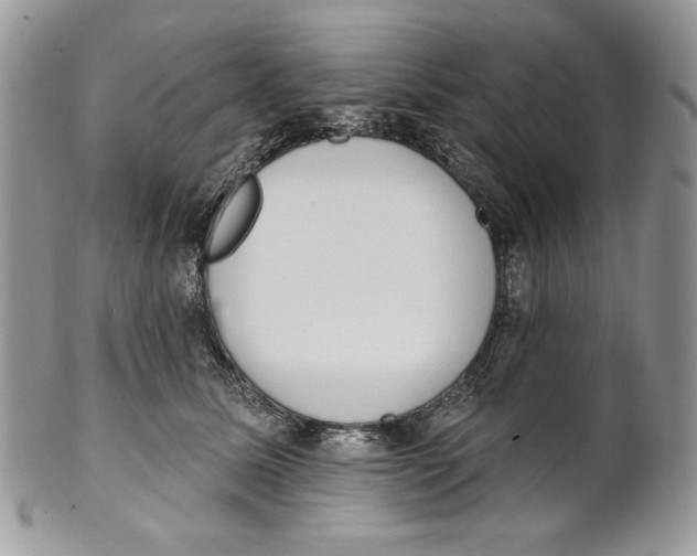X0000101150611200807251050