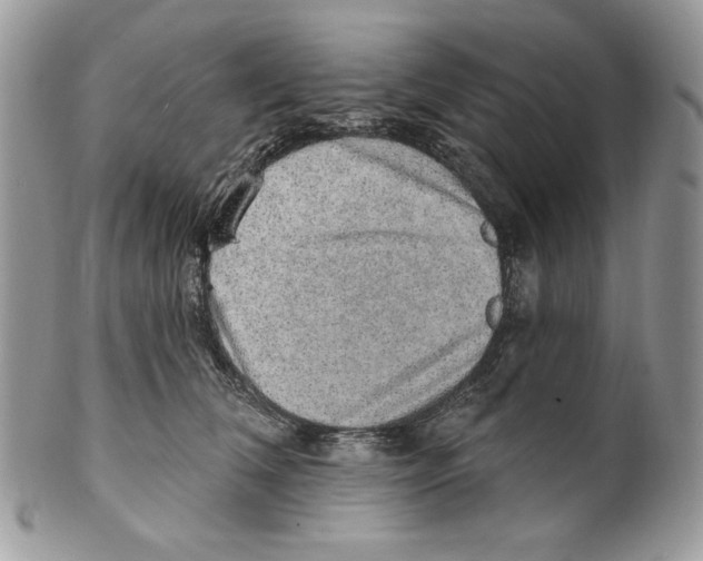 X0000101150612200807251050