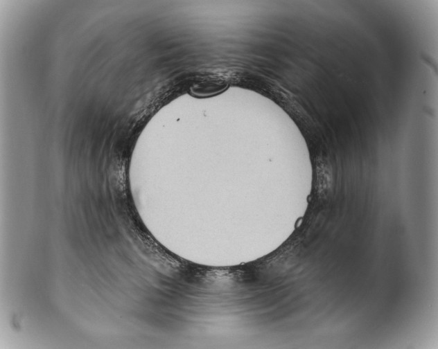 X0000101150613200807251050