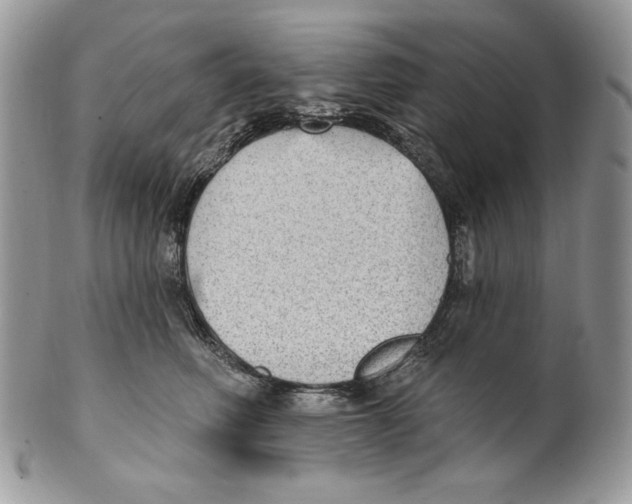X0000101150614200807251049