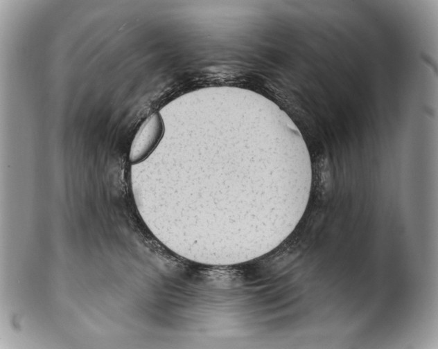 X0000101150615200807251049