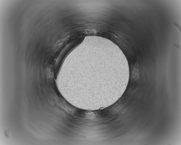 X0000101150616200807251049