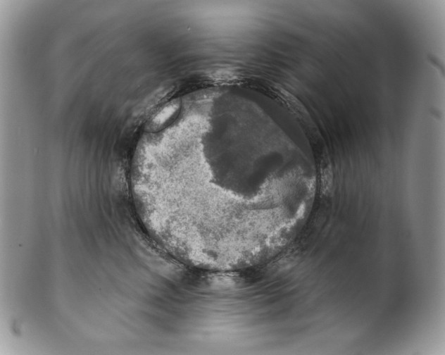 X0000101150618200807251049