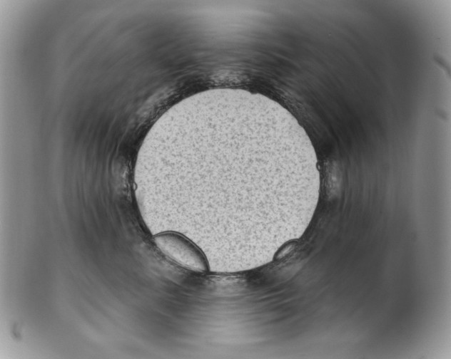 X0000101150619200807251049