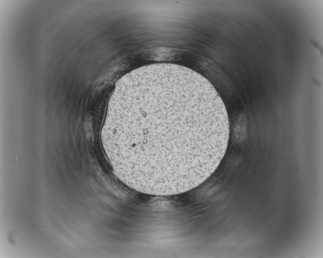 X0000101150620200807251049