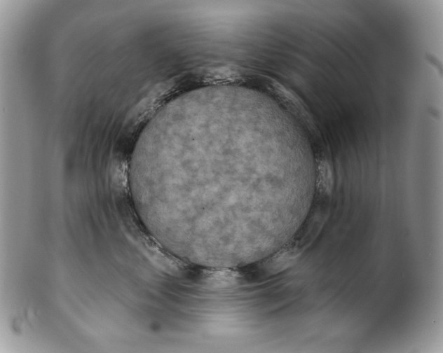 X0000101150621200807251049