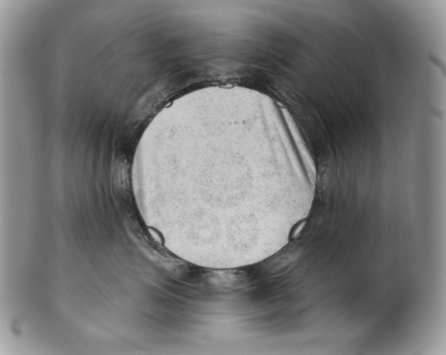 X0000101150623200807251049